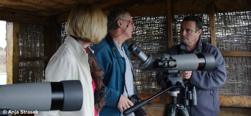 Bird Watching Holidays Spain, Almeria