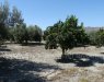 Finca for Sale Spain