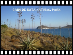 Visit Cabo de Gata Natural Park here >>