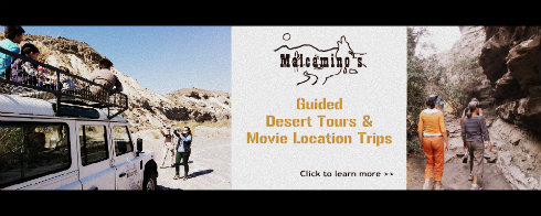 Guided Desert Tours