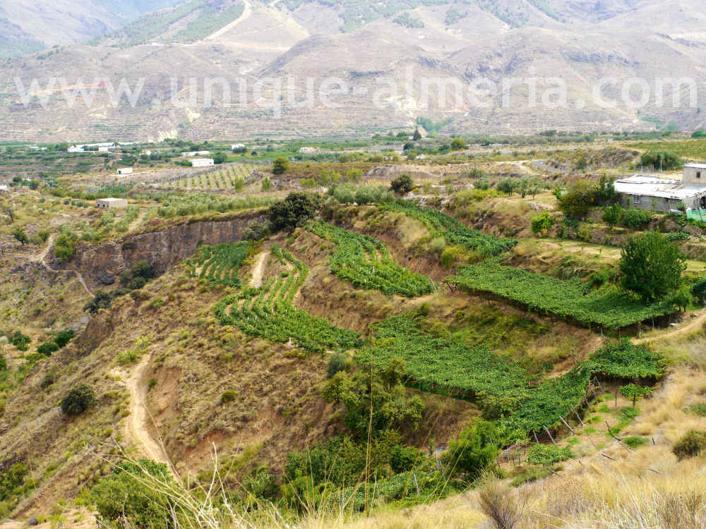 Vega de Abajo valley