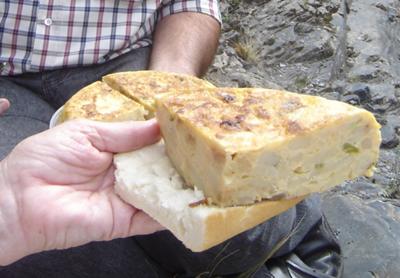 picnic of tortilla