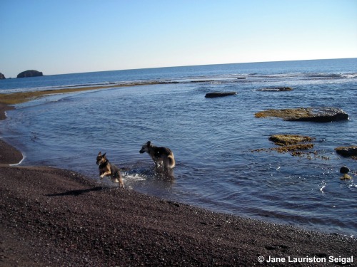 Spanish Walking Holidays from Los Escullos to Isleta del Moro (Almeria, Spain)