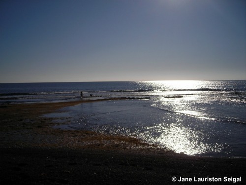 Spanish Walking Holidays from Los Escullos to Isleta del Moro (Almeria, Spain)