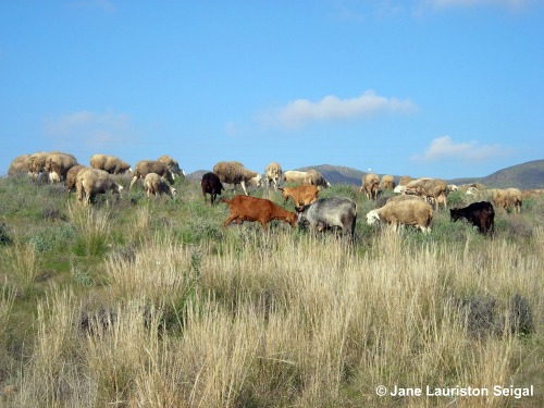 Spanish Walking Holidays in Cabo de Gata Natural Park (Almeria, Spain)