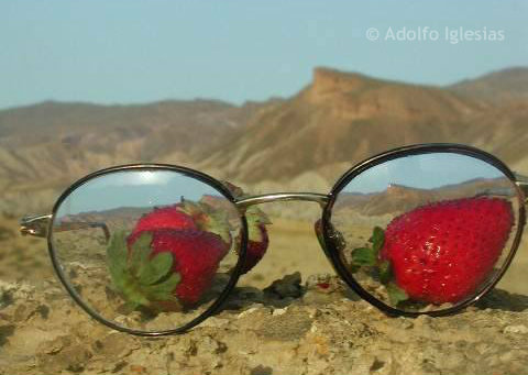 Képtalálat a következőre: „strawberry fields forever”