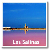 Salt Marshes (Las Salinas) in Cabo de Gata Natural Park (Almeria, Spain)