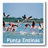 Punta Entinas Wetland in Roquetas de Mar (Almeria, Spain)