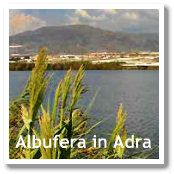 La Albufera in Adra (Almeria, Spain)