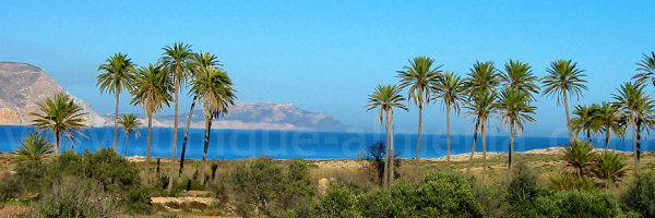 El Playazo Beach Rodalquilar (Almeria, Spain) - Cabo de Gata