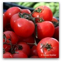 Tomatoes