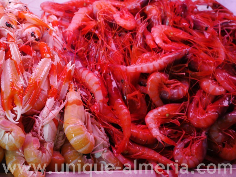 Prawns - Local Markets Almeria 