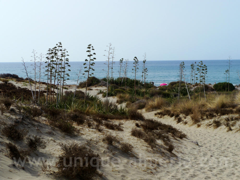 Playa El Barronal (Cove and Beach in Cabo de Gata) Almeria, Spain