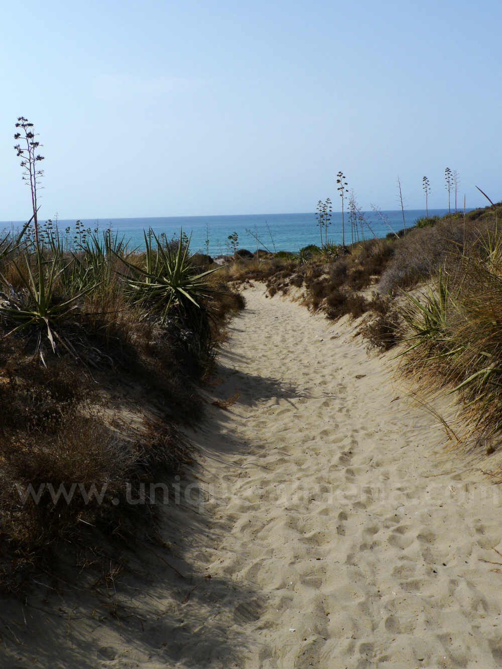 Hiking trail to the beach