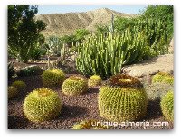 Cactus Garden at Mini Hollywood Almeria, Spain