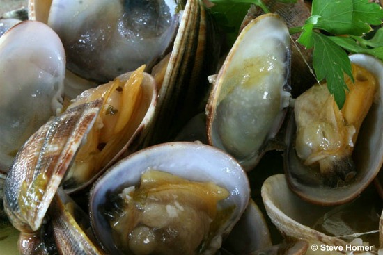 Clams Recipe