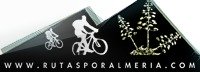 Cycling Tours Spain