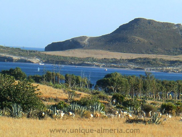 Los Genoveses Beach (in Cabo de Gata) Almeria, Spain