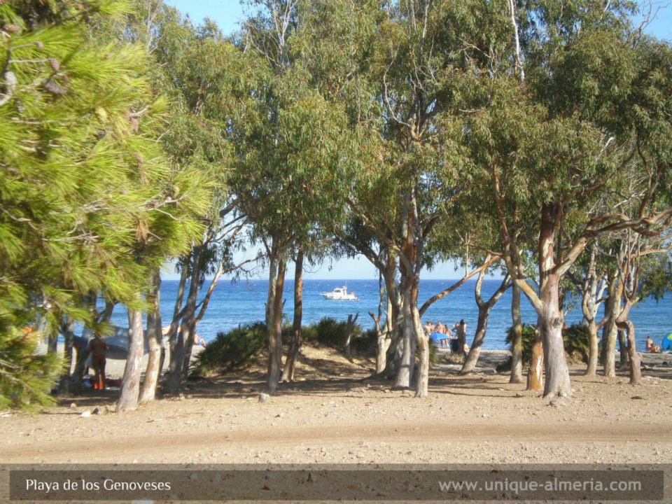 Los Genoveses Beach