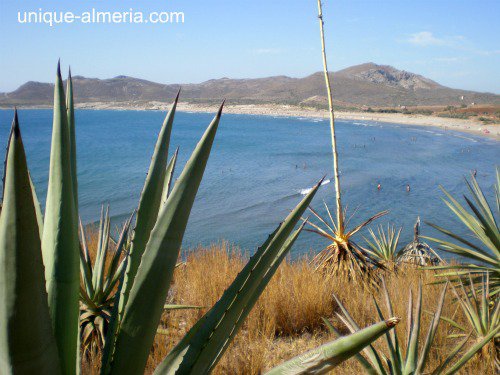 Los Genoveses Beach