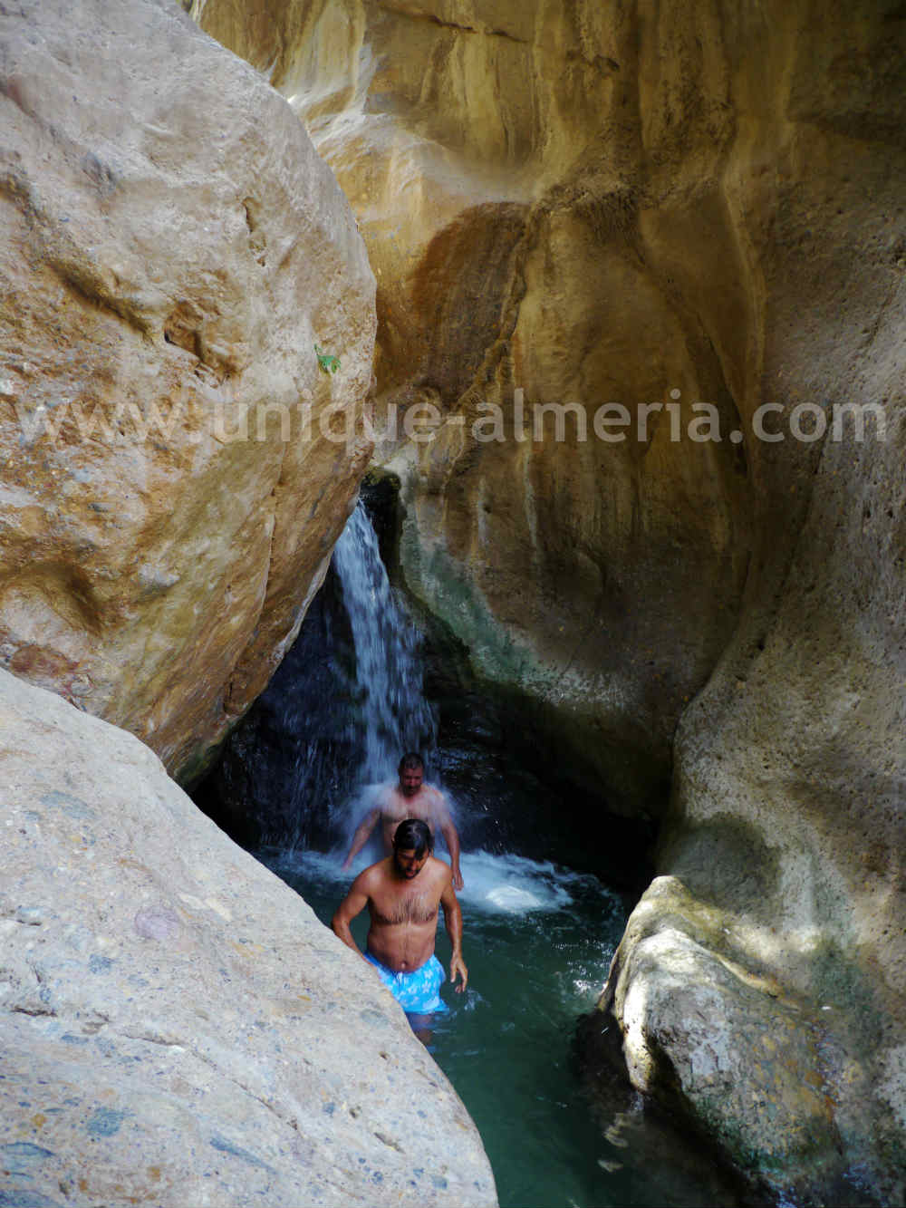 Padules "Las Canales"