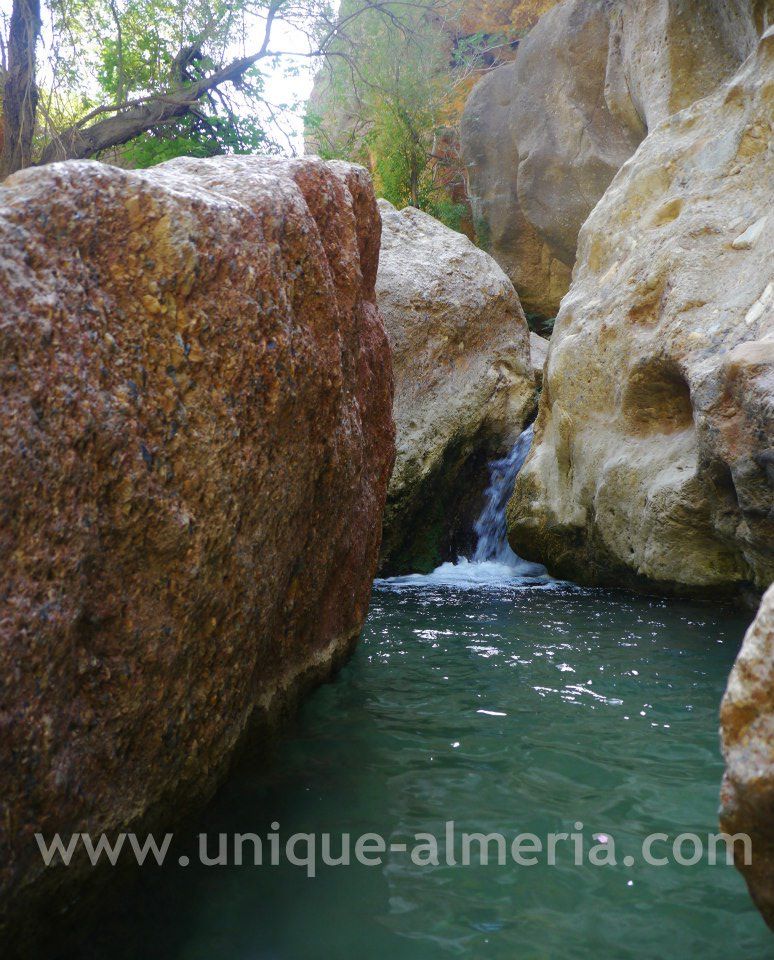 Padules "Las Canales"