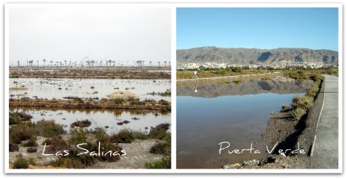 Roquetas de Mar: Las Salinas and Puerta Verde