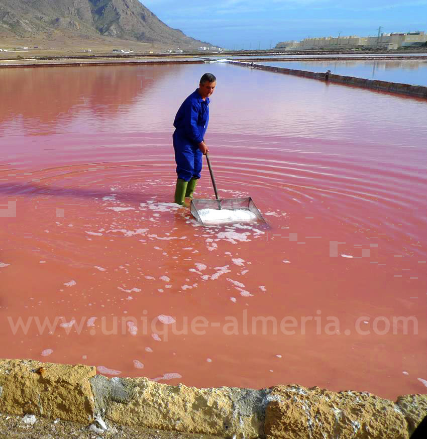 Salt Pans and Salt Marshes in Cabo de Gata (Almeria, Spain)