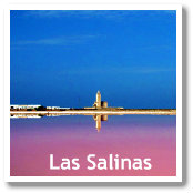 Salt Marshes (Las Salinas) in Cabo de Gata Natural Park (Almeria, Spain)