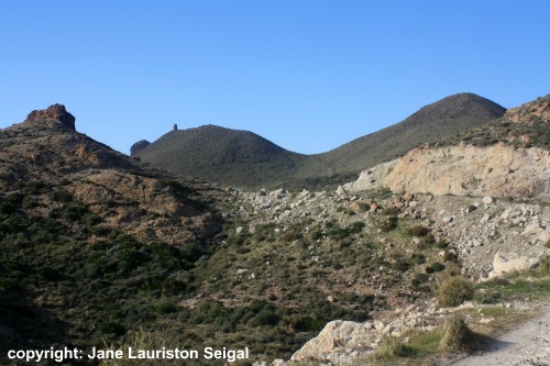 Cabo de Gata - Tower Higuera