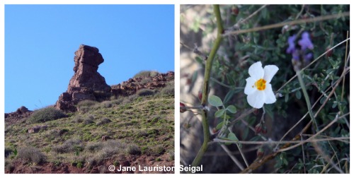 Cabo de Gata Natural Park