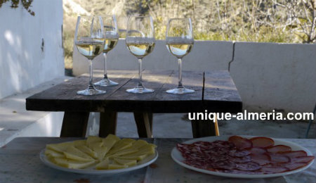 Wine Tours in Spain - Bodega de Alboloduy